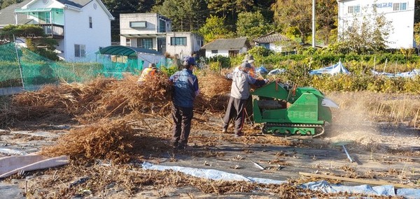 농기센터, 가을철 농업잔재물 파쇄작업 전격시행